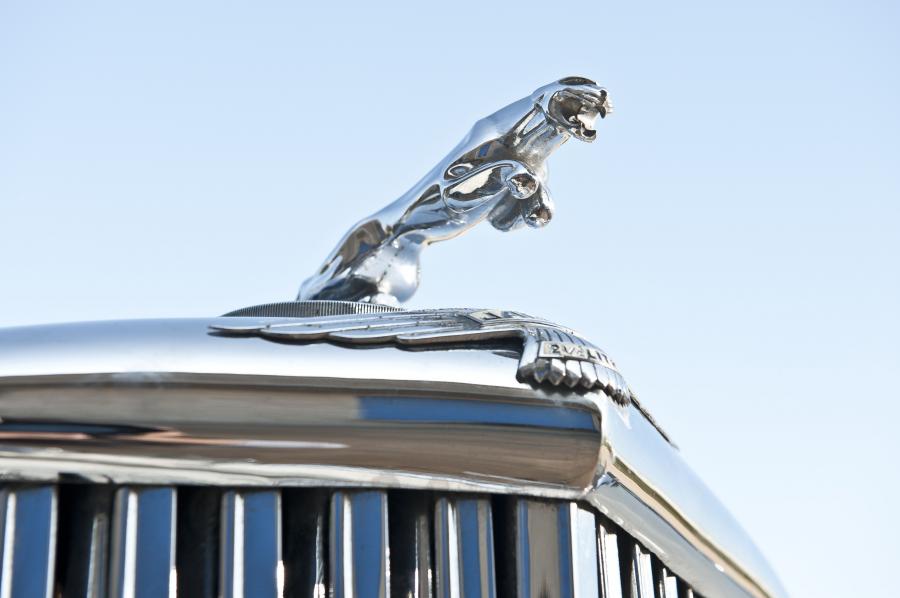  Jaguar Mk V Landaulette 1950 года  (фото 18 из 36)